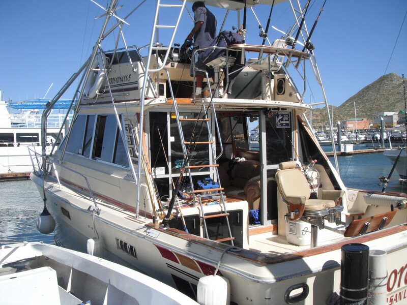 Cabo Sportfishing Charter on 40ft "Dorado VII" ready to take you fishing. 