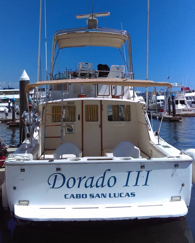 33 ft Bertram "Dorado III" waiting to take you fishing in Cabo.