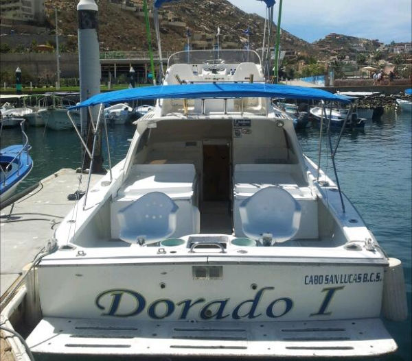 Cabo Fishing Charter on this classic 31' Bertram "Dorado I" with two fighting chairs, padded engine covers, shade, flybridge, bait tank, tuna tubes, top skipper & more.  