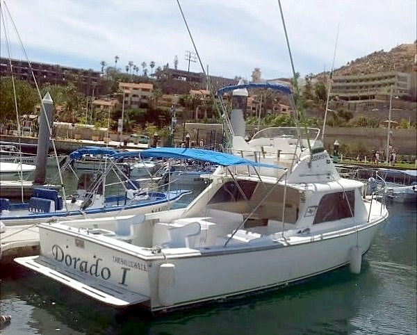 Fiesta Sportfishing Cabo Charter on 31 ft Bertram "Dorado I"