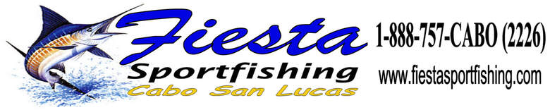 Fiesta Sportfishing, Cabo San Lucas