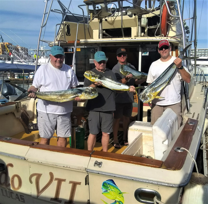 Dorados on 40 ft "Dorado VII" while fishing on the 28th Annual Fiesta Sportfishing Guided Cabo Trip. 