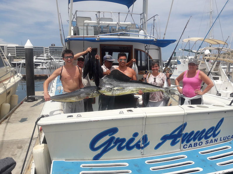 Monster Cabo Dorado caught on Fiesta Sportfishing's 42' Uniflite "Gris Annel"