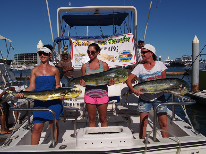 These gals know how to fish!  Some nice Dorados on recent Fiesta Guided Cabo Trip.